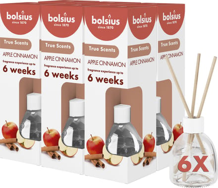 Bolsius - Geurstokjes - Apple Cinnamon - 6 stuks - Voordeelverpakking - 60ml