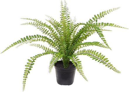 Asplenium Varen kunstplant 45cm in pot