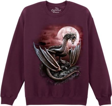 Draak Darius Dragon The Coloured House Sweater S