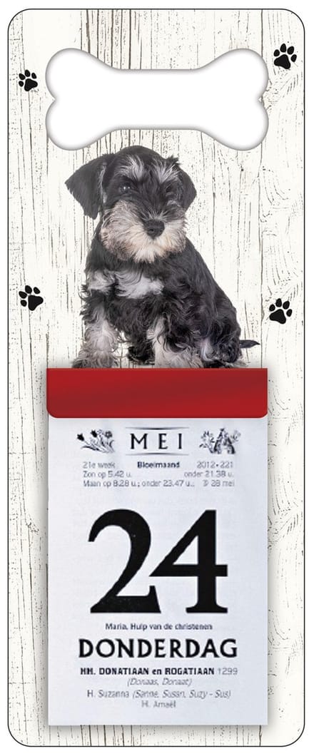 Scheurkalender 2027 Hond: Dwergschnauzer