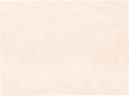 Placemat TROJA - SET/6 - kunstleer - 33x45 cm, crème