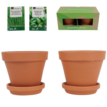 Terracota potten set van 2 stuks met bieslook en bascilicum zaden
