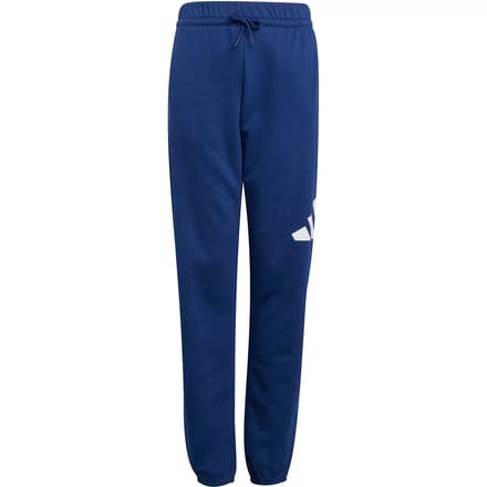 Adidas Essentials Big Logo Joggers Blauw 9-10 Years Kinderen