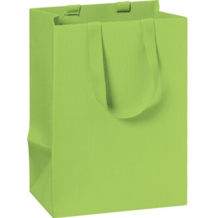 Stewo geschenktasje basic, formaat 10 x 8 x 14 cm., kleur groen