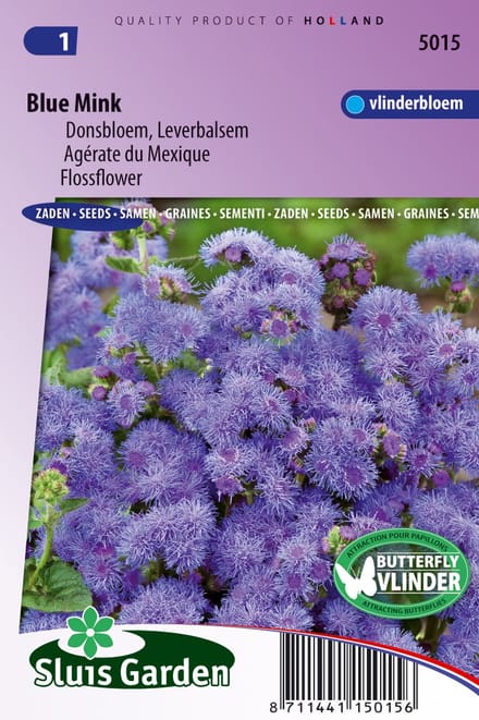 Sluis Garden - Donsbloem Blue Mink