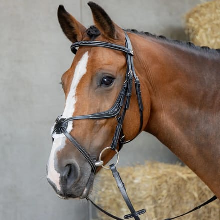 Anatomisch Mexicaans dubbelrijig hoofdstel Harry's Horse