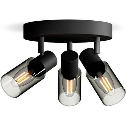 Philips Palms Spot - Plafondspot met drie lichtpunten - Met gerookt glas - Kleine fitting E14 - Ronde basisplaat