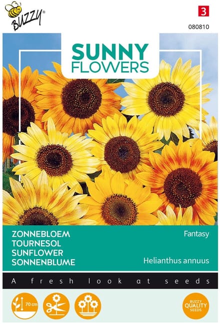 Buzzy® Sunny Flowers, Zonnebloem Fantasy