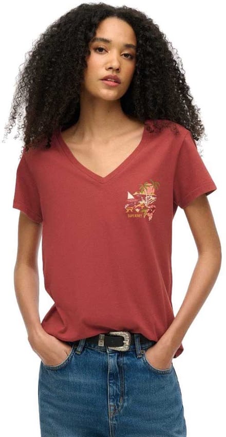 Superdry - Suika metallic relaxt T-shirt met V-hals - Dames - T-shirts