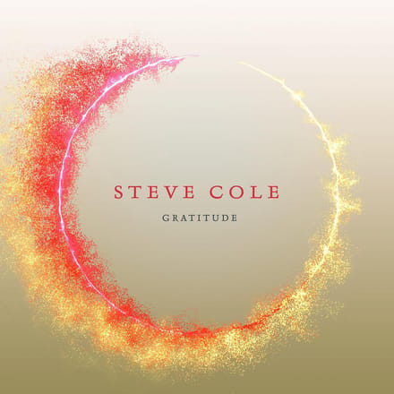Gratitude - Steve Cole