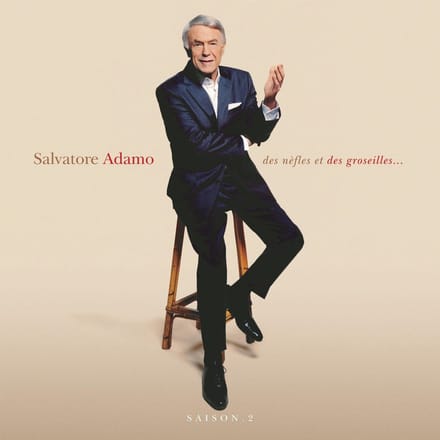 Salvatore Adamo - Des Nèfles Et Des Groseilles... (2 LP)