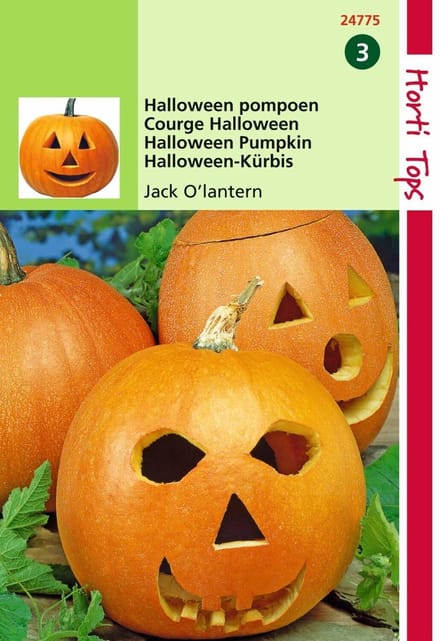 2 stuks - Hortitops - Pompoen Jack O Latern Cucurbita Pepo