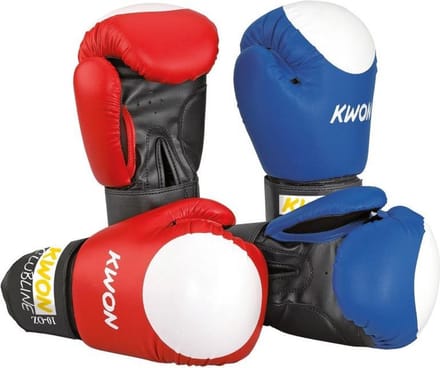 KWON Bokshandschoenen Pointer 10oz
