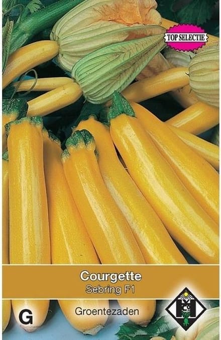 Van Hemert - Courgette Yellowstar F1