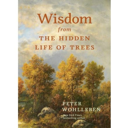 Wisdom From The Hidden Life Of Trees - David Suzuki Institute - Peter Wohlleben