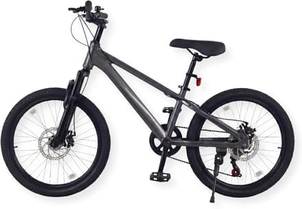Kinder Mountainbike 20 Inch Lichtgewicht Aluminium Frame Grijs
