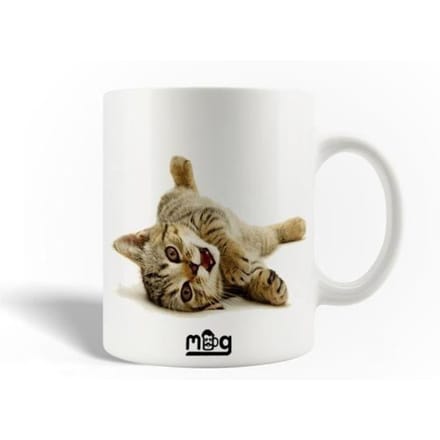Mug en Céramique Bengal Chaton Race Mignonne du Monde