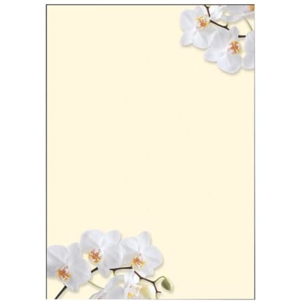 motiefpapier Sigel A4 90grs pak a 50 vel White Orchid