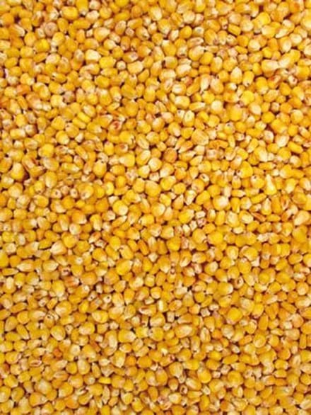 Tijssen goed voor dieren Mais Franse Heel 5Kg