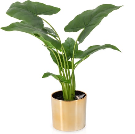 HomeBound by KY | Alocasia kunstplant in pot | kunstplant