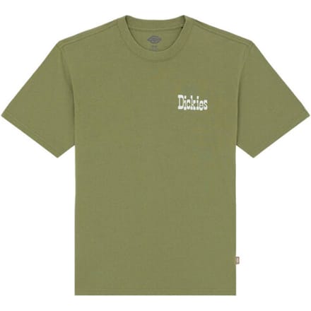 Dickies T-shirt korte mouw dk0a88jvk721