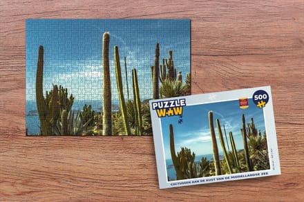 Puzzel Cactus - Zee - Lucht - Legpuzzel - Puzzel 500 stukjes