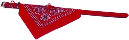 Halsband met zakdoek rood 35cm