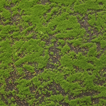 Kunst Mos Wand 100x290cm groen