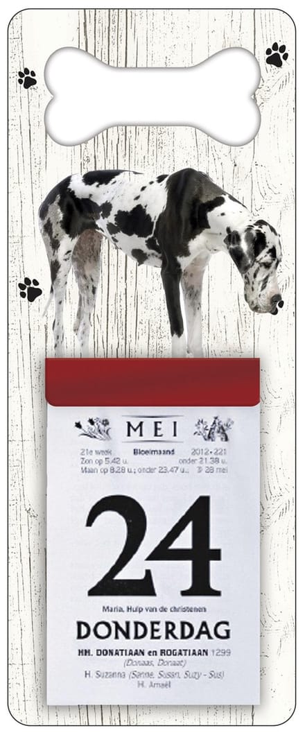Scheurkalender 2027 Hond: Duitse dog