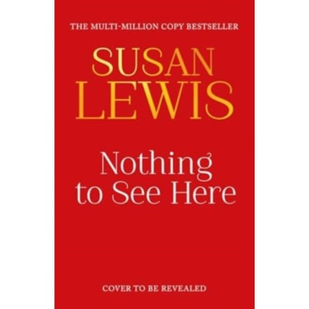 Nothing To See Here - Susan Lewis
