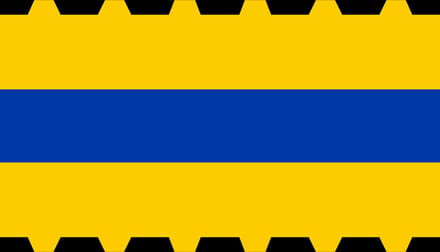 Vlag Veenendaal 70x100cm