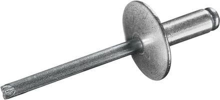 500 Stuks Blindklinknagels Grote Kop 4,8 x 10 mm Aluminium/Staal