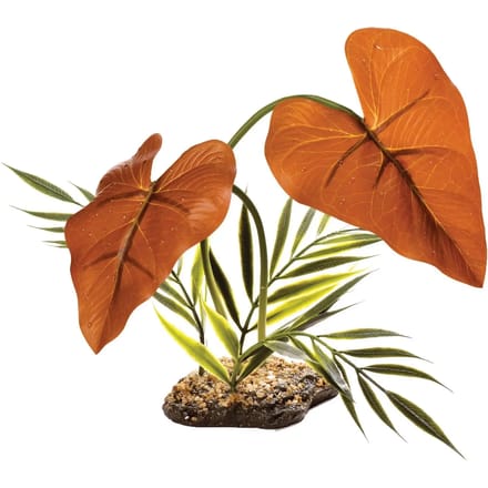 Reptielen schuilplaats Komodo Rain Forest Canopy