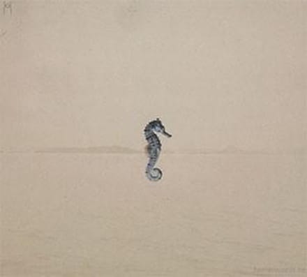 Tab - Seahorse (CD)