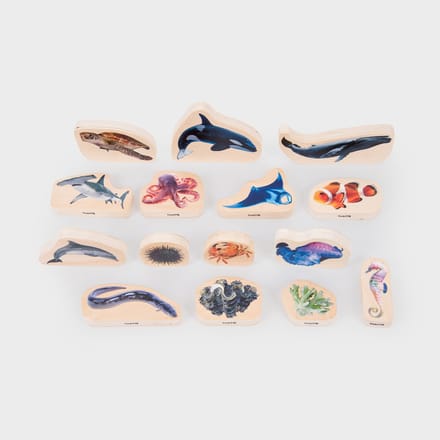 tickit® Houten Zeelevenblokken