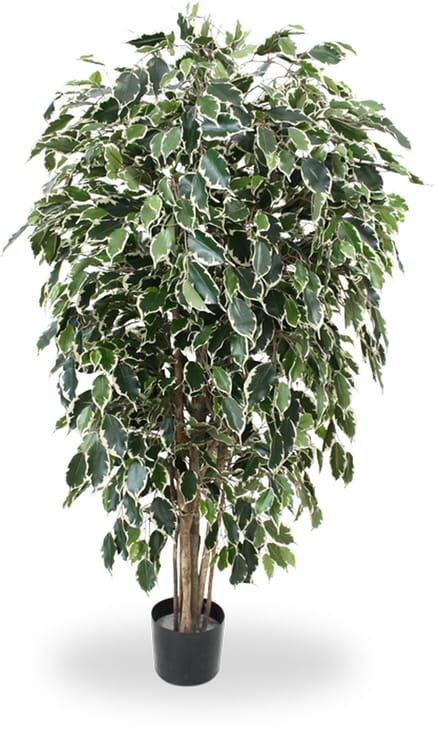 Ficus Exotica deluxe kunstboom 150cm - bont