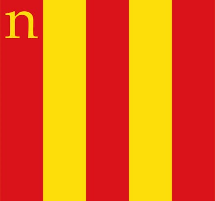 Vlag Niel 150x225cm