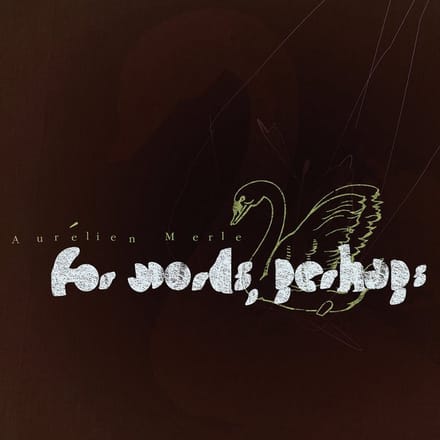 Aurélien Merle - For Words, Perhaps (CD)
