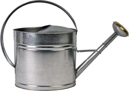 Talen Tools - Gieter - Verzinkt staal - Met broeskop - 8 liter