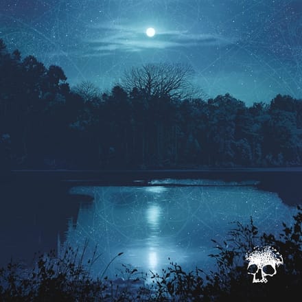 Planes Mistaken For Stars - Do You Still Love Me? (LP)