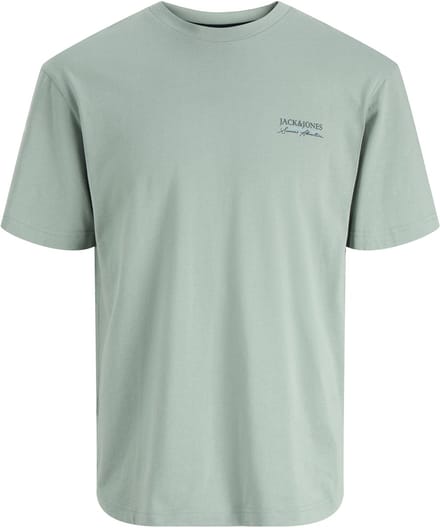 JACK&JONES - JJSUMMER VIBES TEE SS CREW NECK - Heren - T-shirts