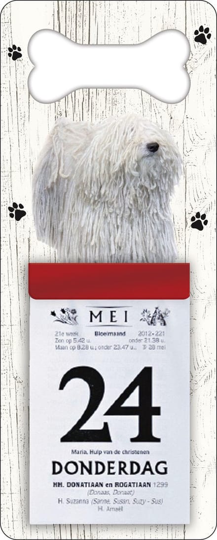 Scheurkalender 2027 Hond: Comondor