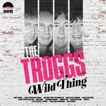 The Troggs - Wild Thing (LP)