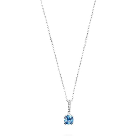 FAVS Ketting 88819209