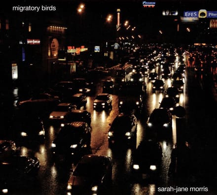 Migratory Birds
