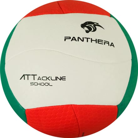 Panthera - Volleybal - Attackline school - BV500 - Volleyballen