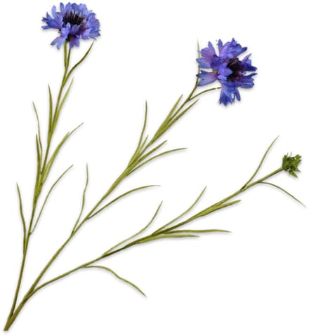 Silk-ka - Kunstbloem - blauw - H65 cm - 2 stuks