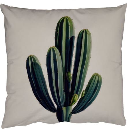 Sierkussens - Kussentjes Woonkamer - 40x40 cm - Cactus - Subtiel - Groen