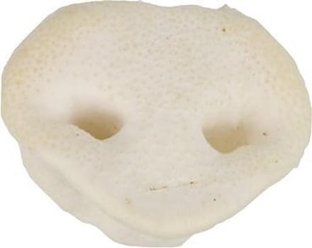 Petsnack varkensneuzen 25 stuks