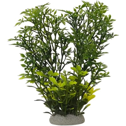 Aquarium decoratie Nobby Pet Helzine Grün